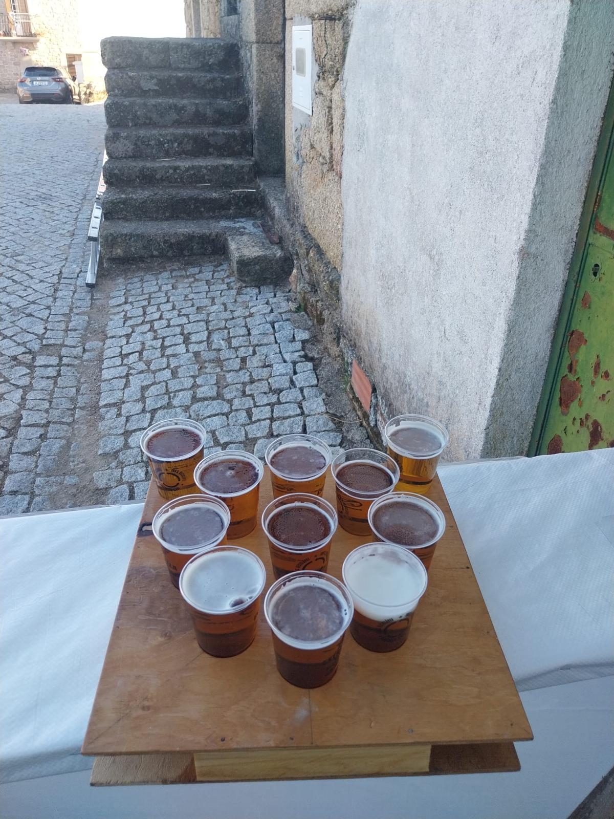 Festa de Verão 2023 31